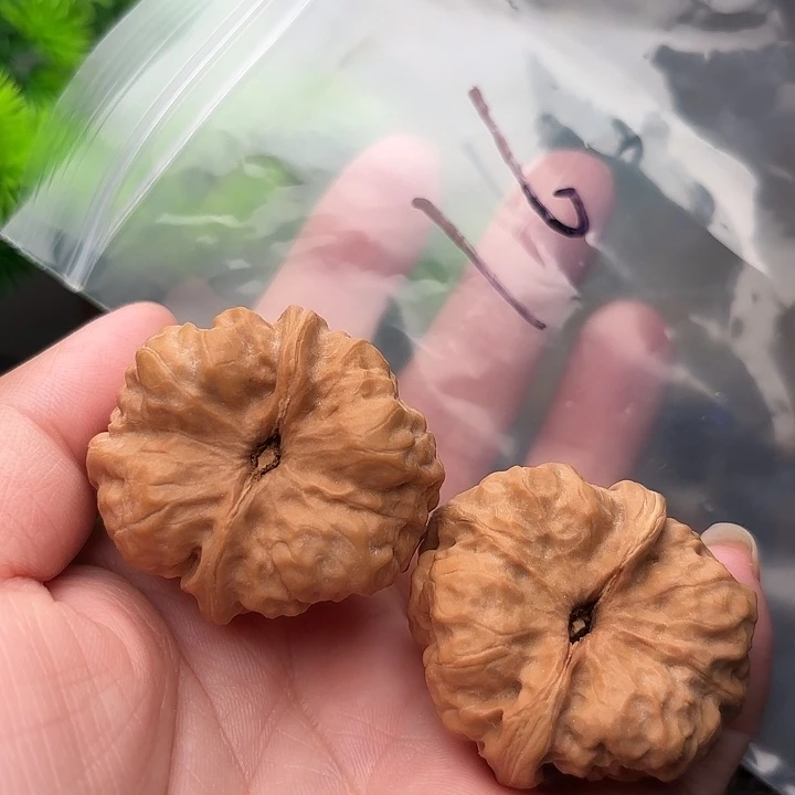 把件文玩核桃核桃