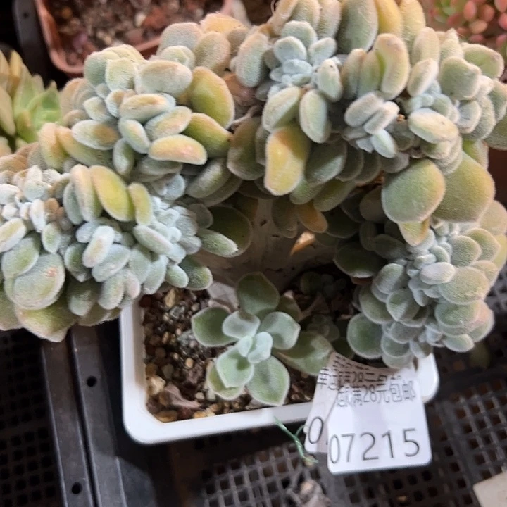 幸运的是我还没遇到