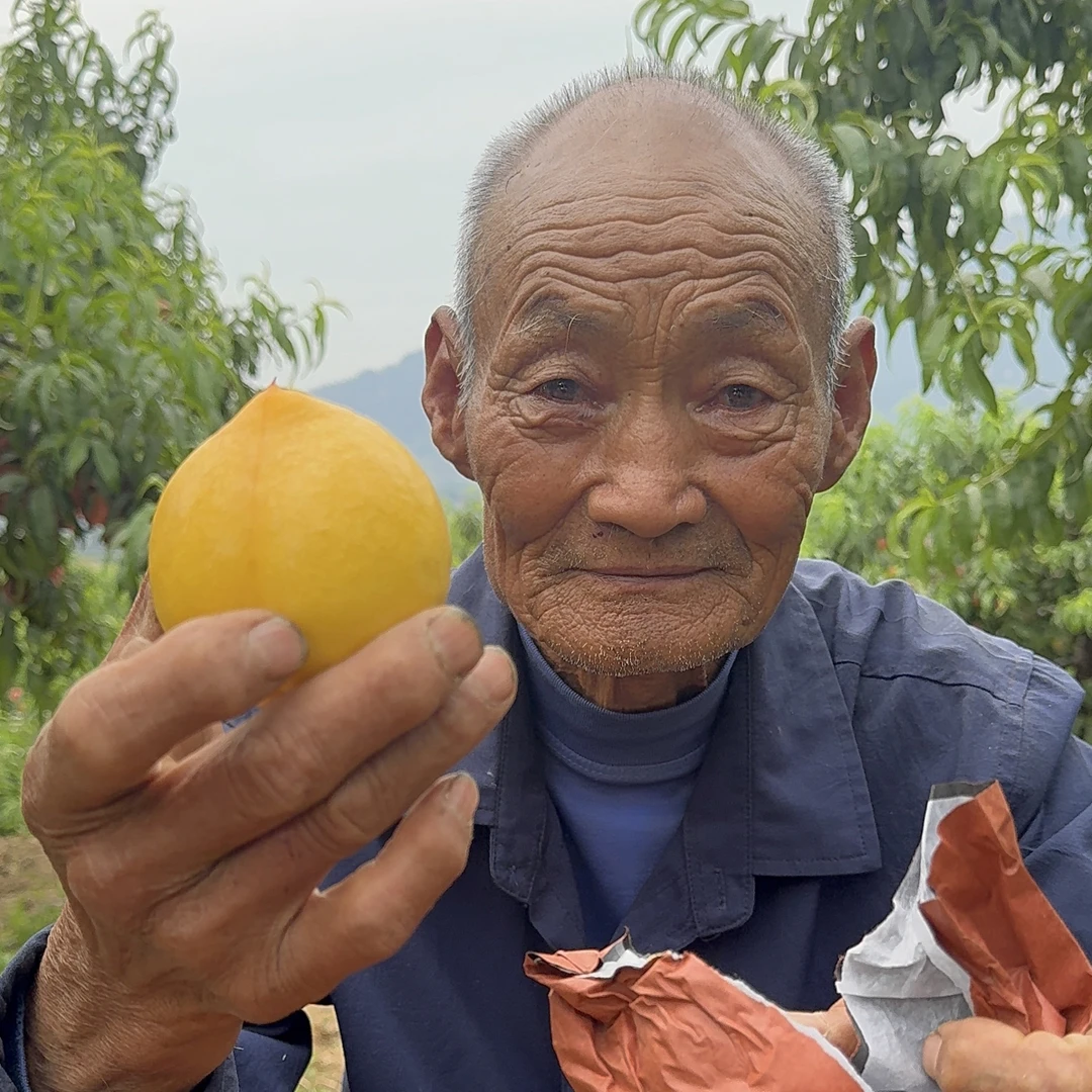 【京东包邮】姥爷家黄金油桃香甜爆汁桃香四溢唇齿留香2-4斤