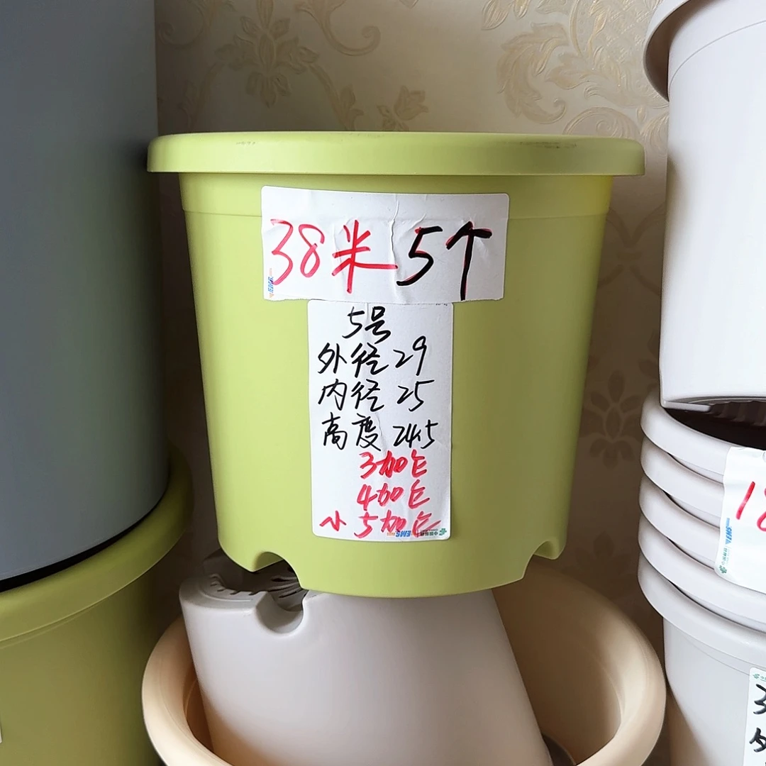 果绿色5号带托盘10个