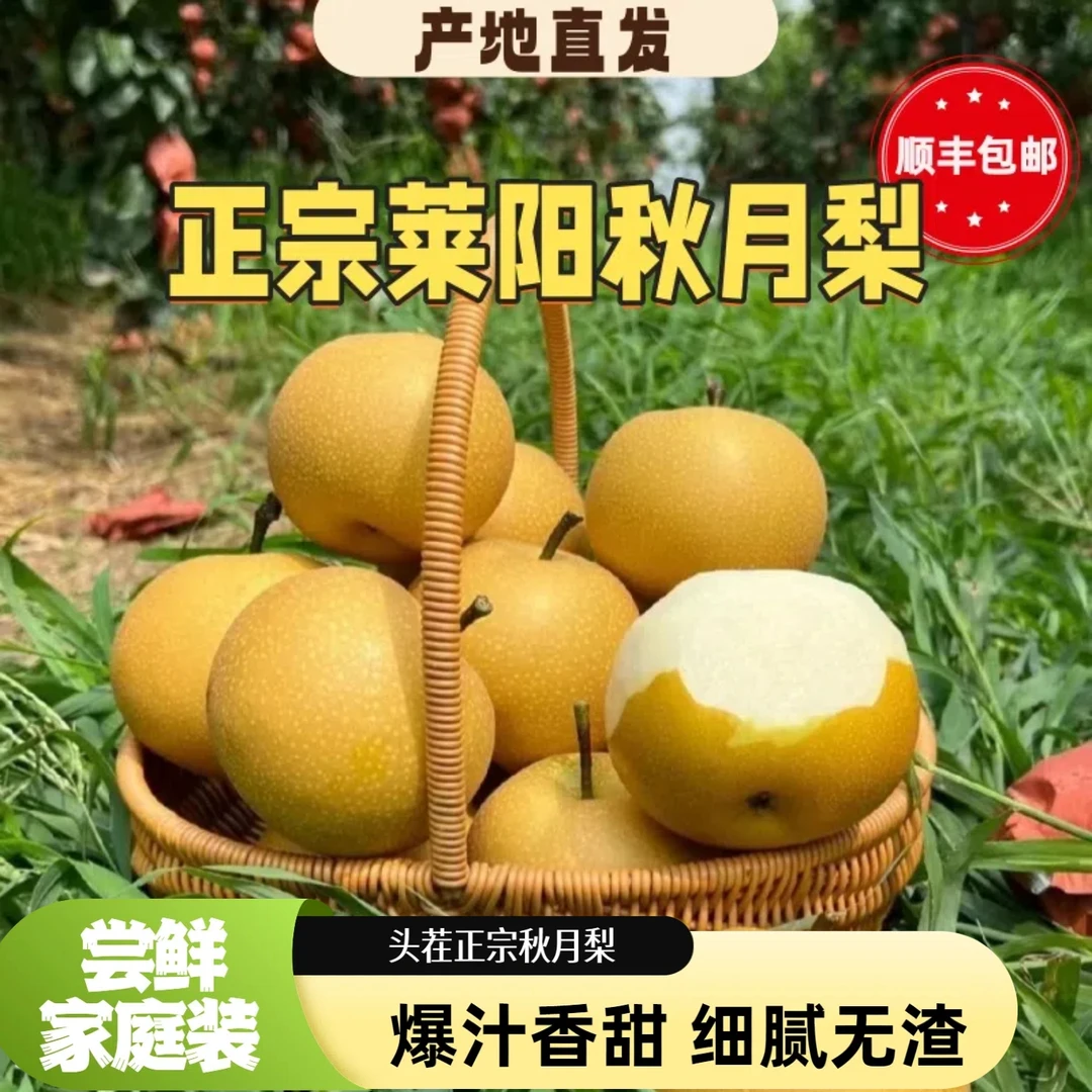 【尝鲜款】正宗山东莱阳秋月梨现采现摘顺丰包邮