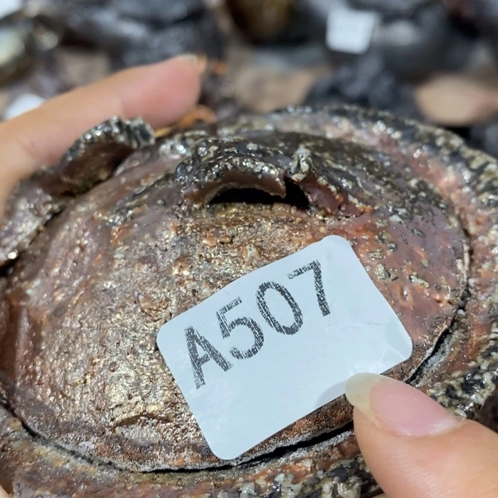 *****其他柴烧茶器福利瑕疵