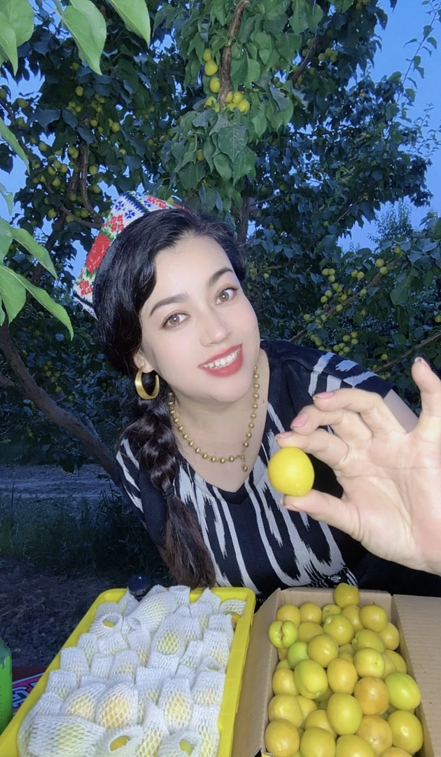 新疆轮台县阳霞小白杏（现摘现发）