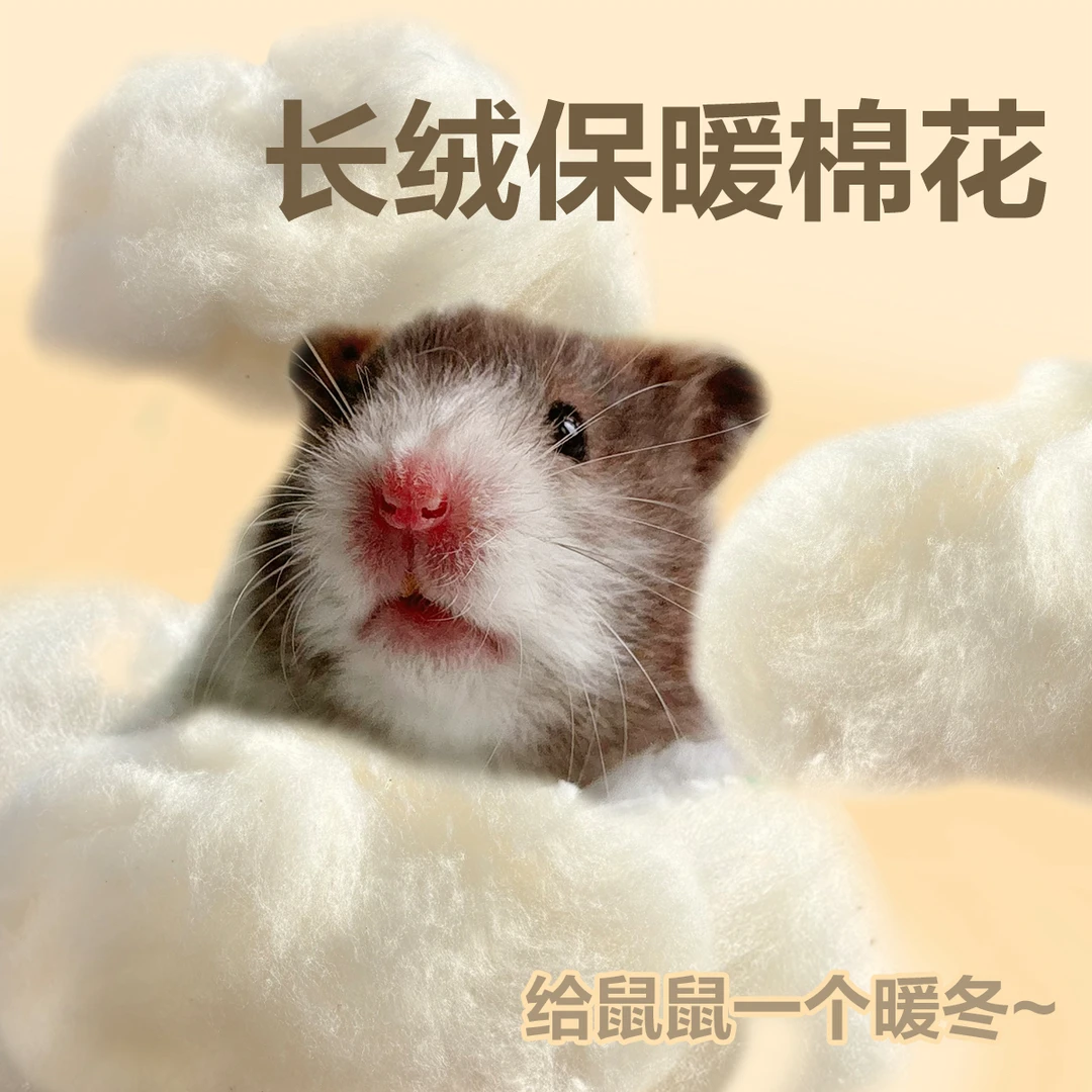 金丝熊仓鼠入冬必备棉花 柔软保暖性强 零度必备