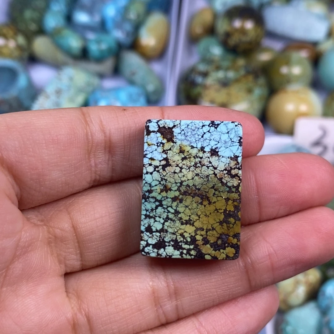 绿松石未镶嵌颈饰