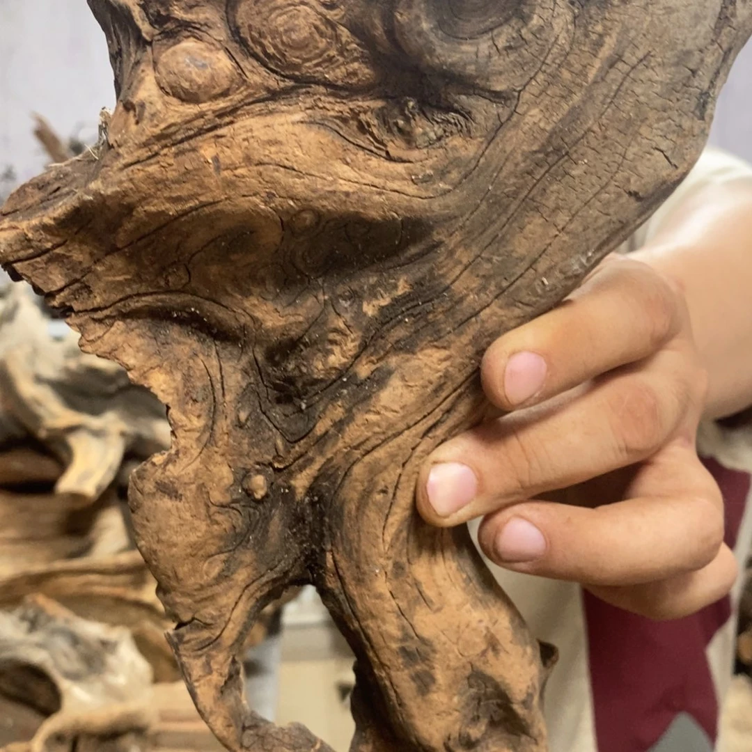 柏木安****店我们都是好孩子