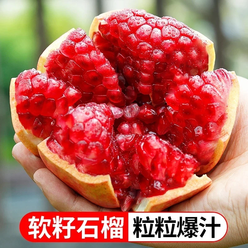 【新鲜采摘】四川会理突尼斯软籽石榴4.5-5斤 纯甜爆汁应季水果