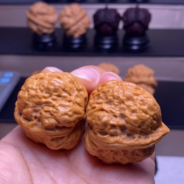 文玩核桃把件卧莲金蟾37