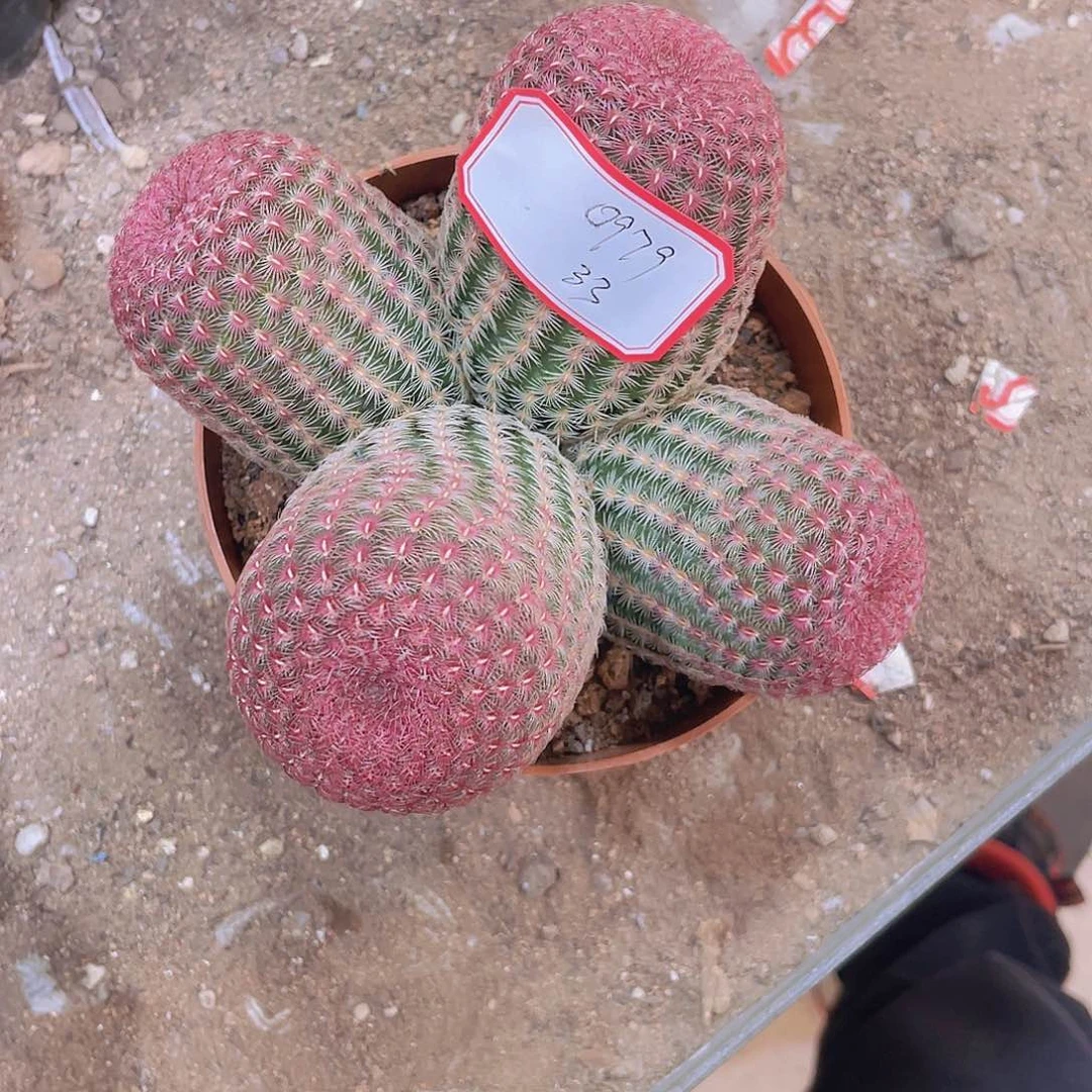 顺风顺水！好运连连