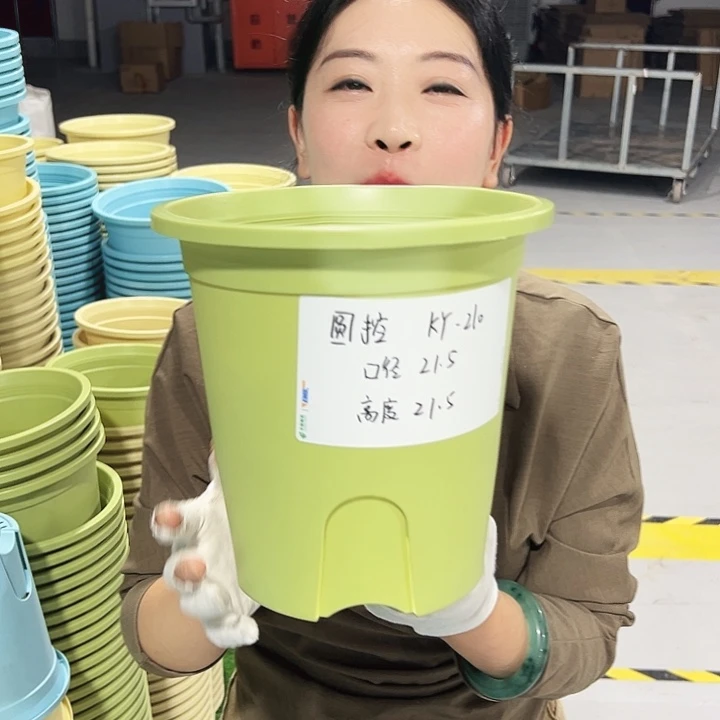特价圆控口21高21果绿5只无托