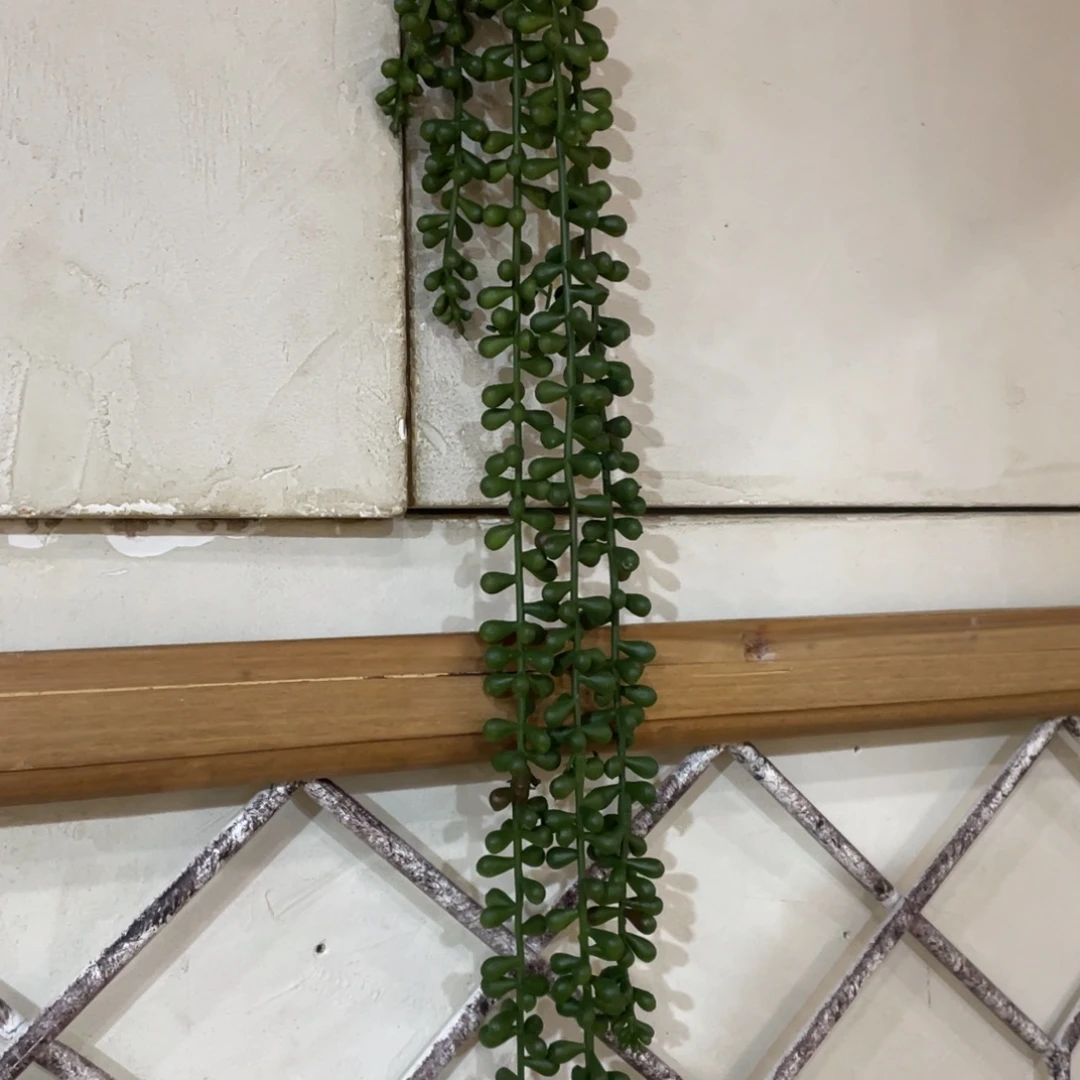 铁情人泪仿真绿植92605