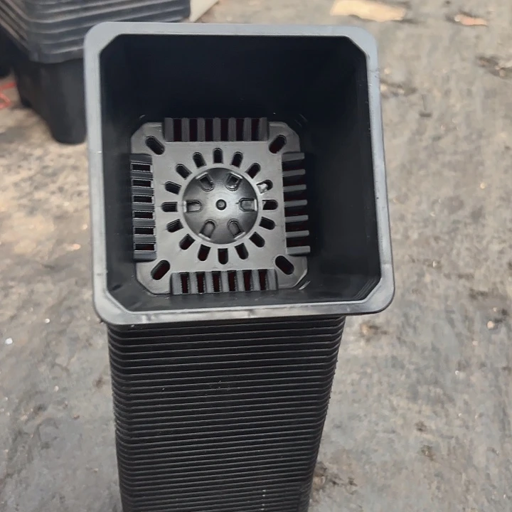 11公分黑方盆高8公分15个