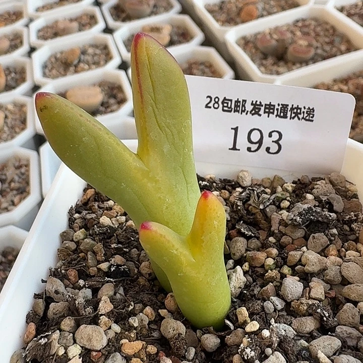 193。