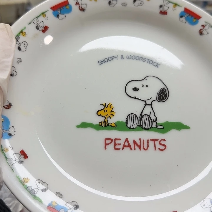 瓷片玉*蝶开播啦….开播啦