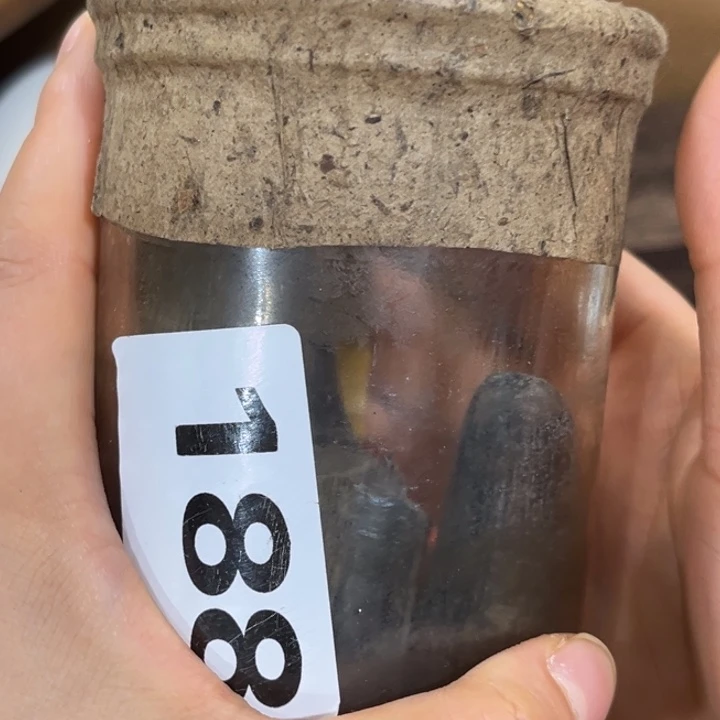 啦啦啦啦啦啦啦～西