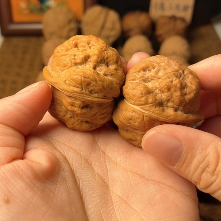 云南野生铁核桃编号15