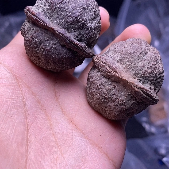 文玩核桃把件   53