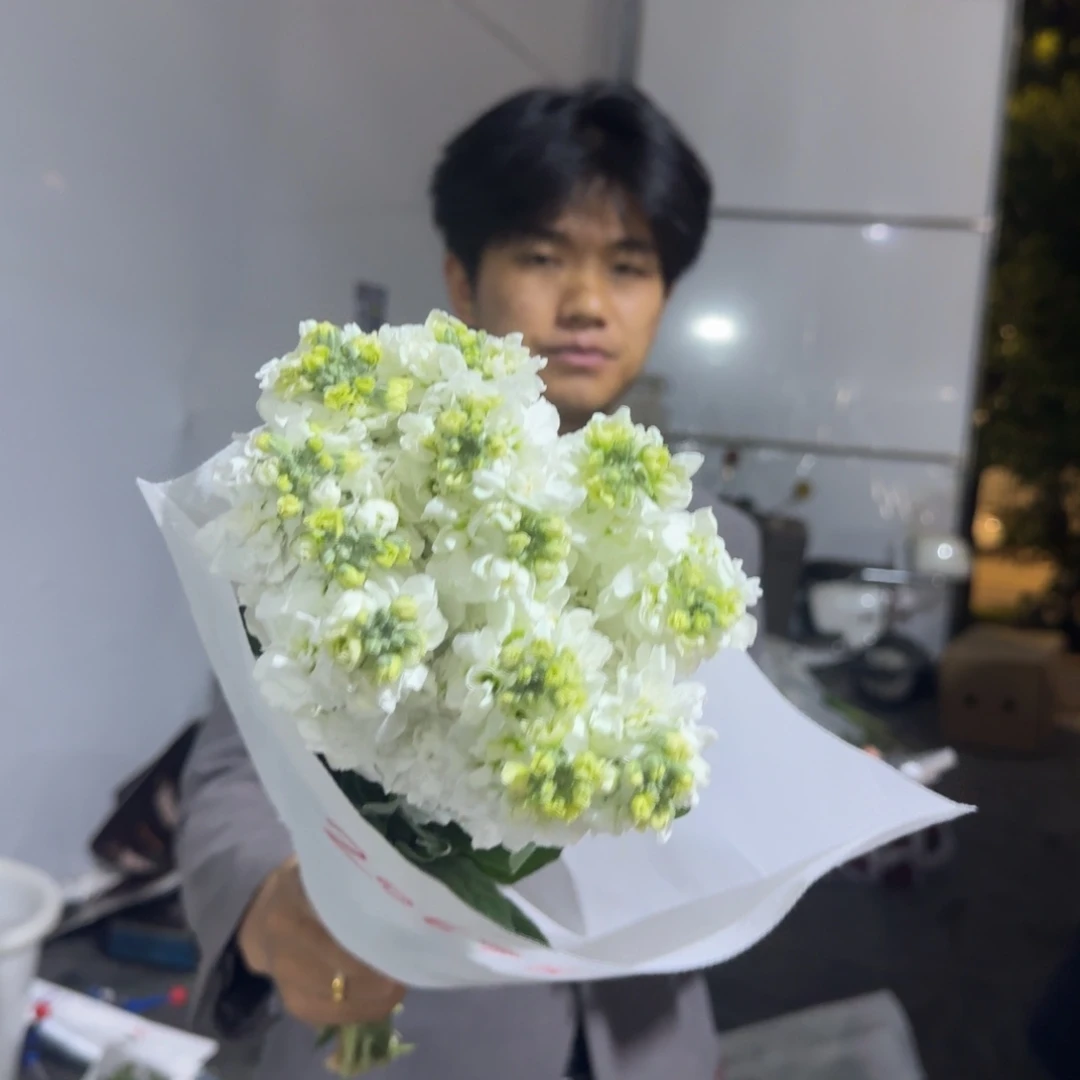 紫罗兰1扎包邮价秒杀