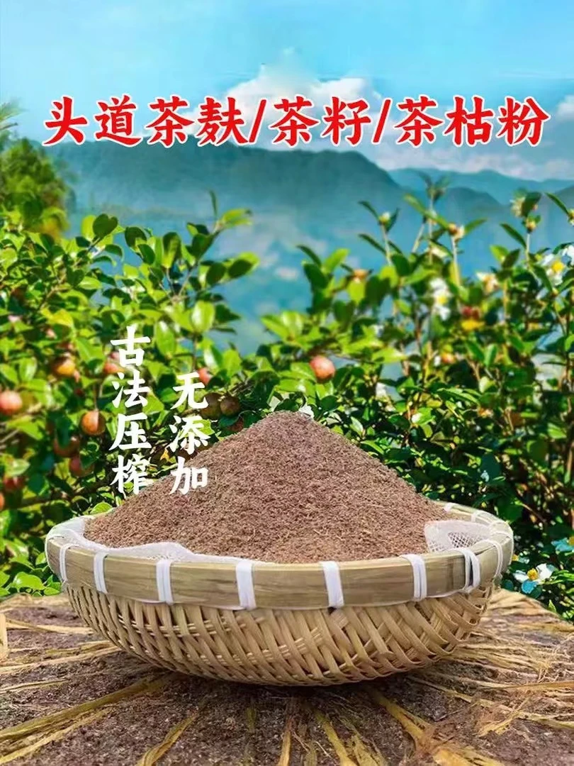广西农家头道茶麸粉 传统压榨茶枯粉 草本养发护发 洗头家用颗粒