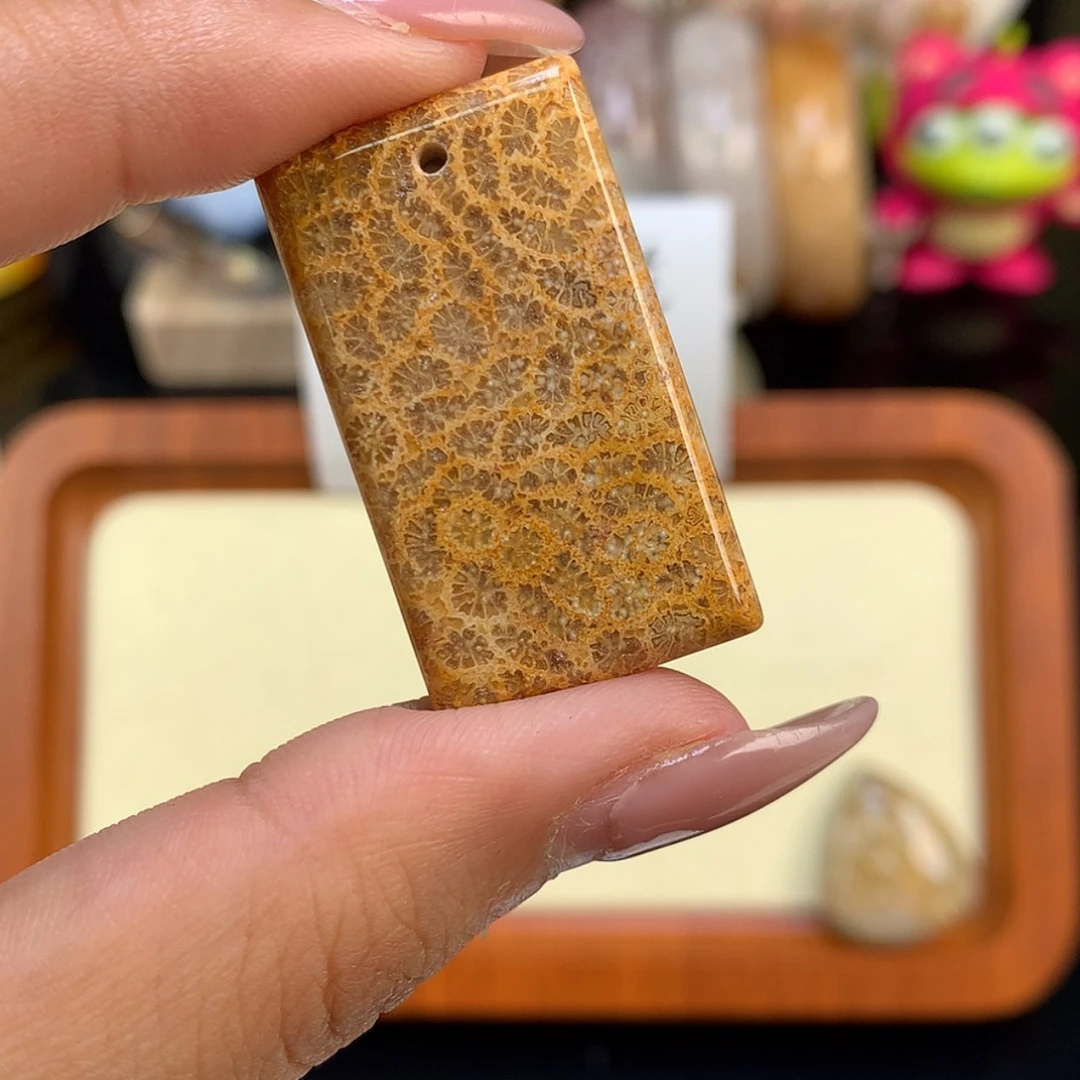 【闪购商品】颈饰未镶嵌硅化珊瑚（珊瑚玉）暖*