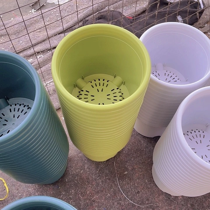 树脂锦鲤4号果绿色5个带托