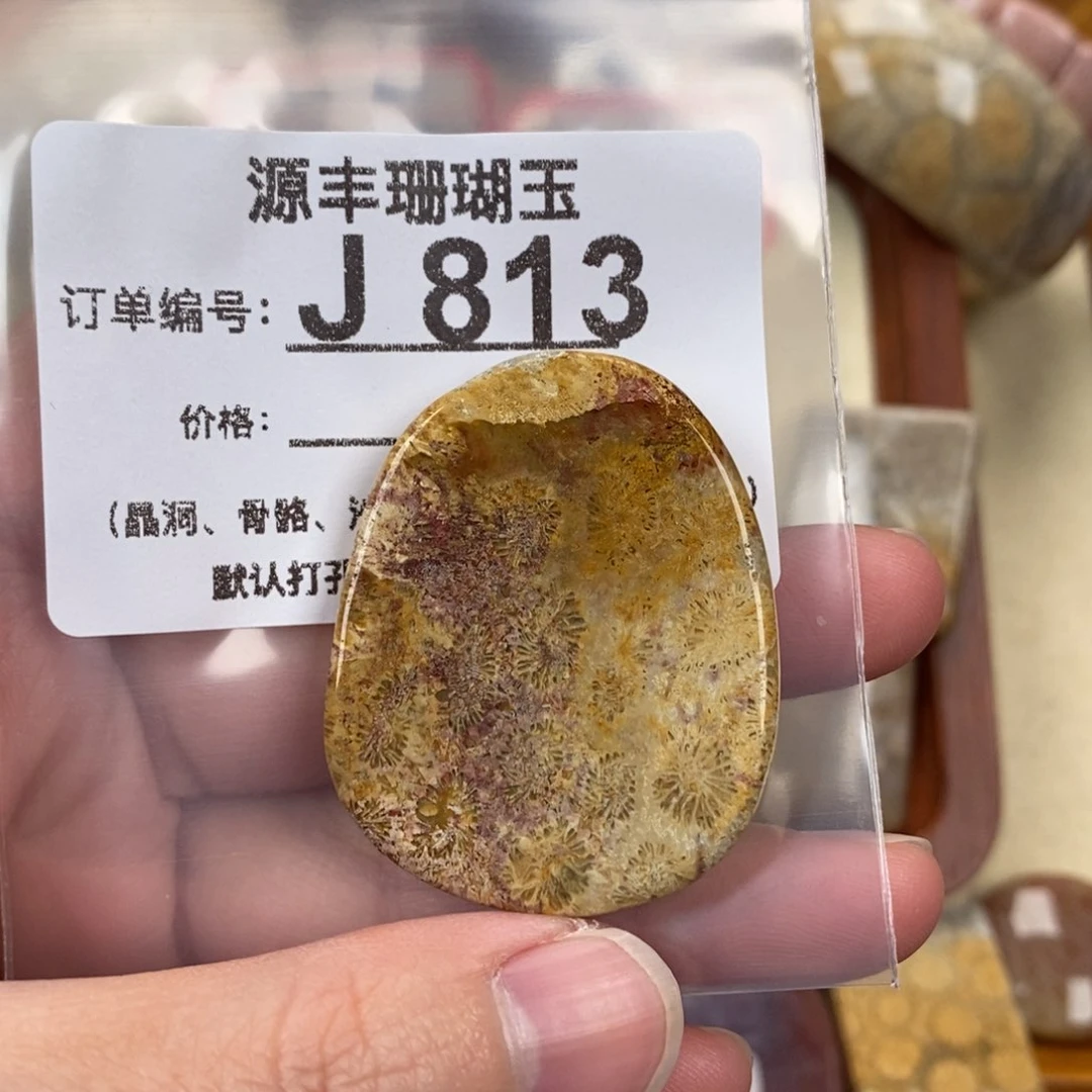 硅化玉颈饰未镶嵌睡****要