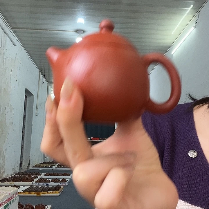 茶壶紫砂紫砂…………………………