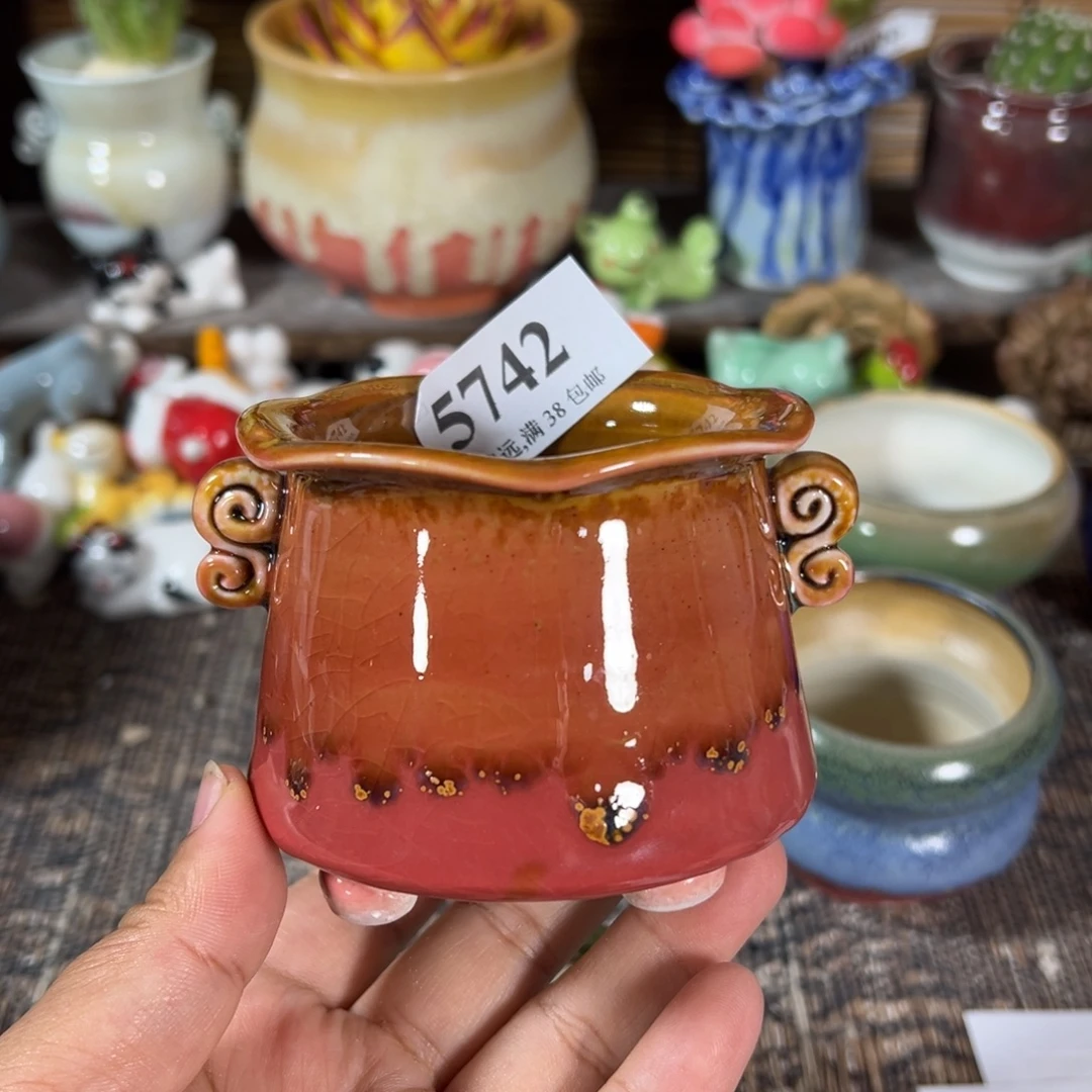 口6 ……活动价30元包邮