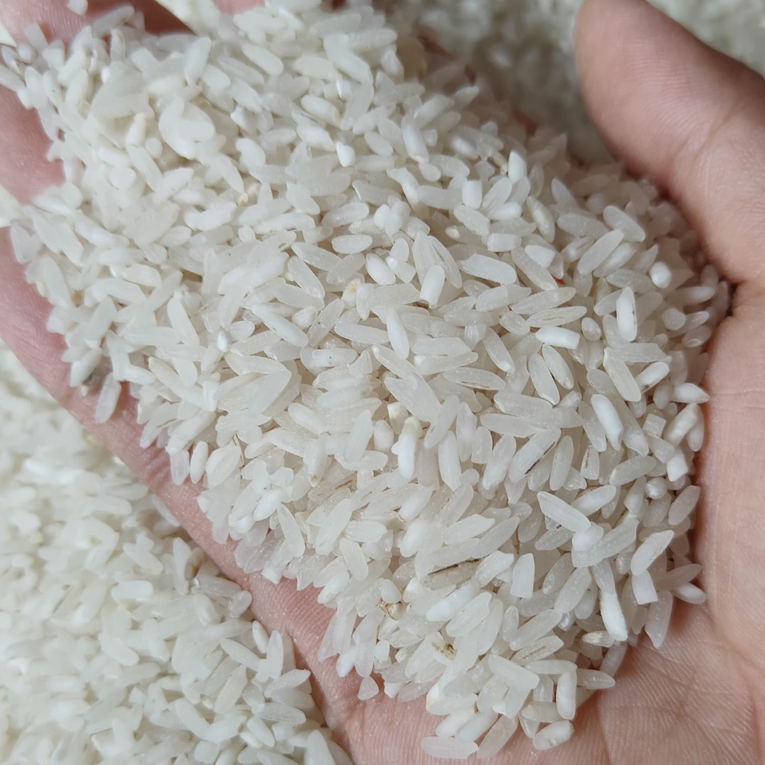 重庆梁平2025年新米农家自种现磨大米不抛光不打蜡散装长粒软香米