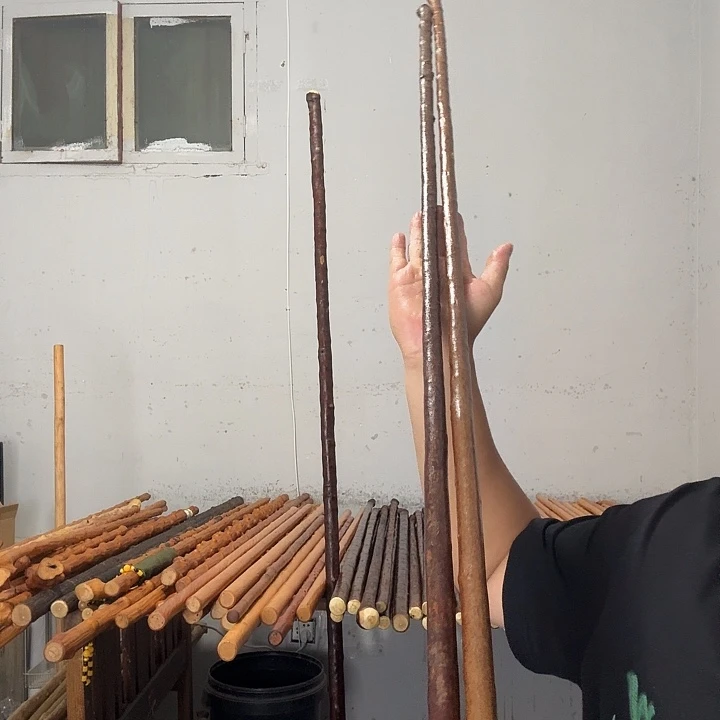 素***朴秦岭石山兔儿条鞭杆