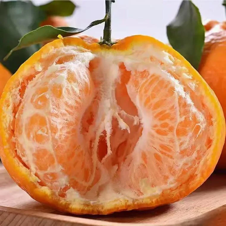 春见耙耙柑~家庭装多种规格