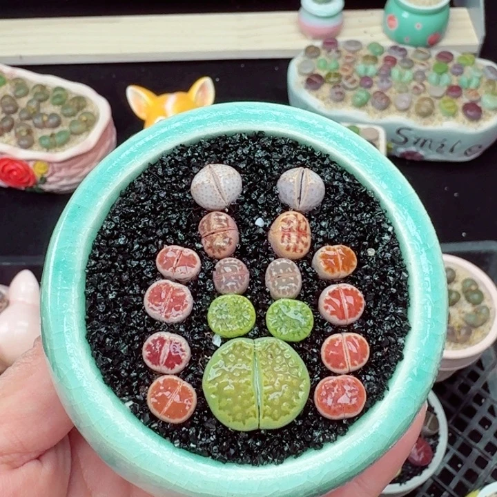 572零下地区记得拍保温箱