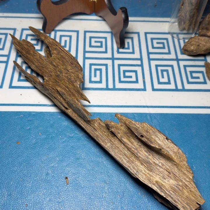 木质绿奇陆河虫漏106克