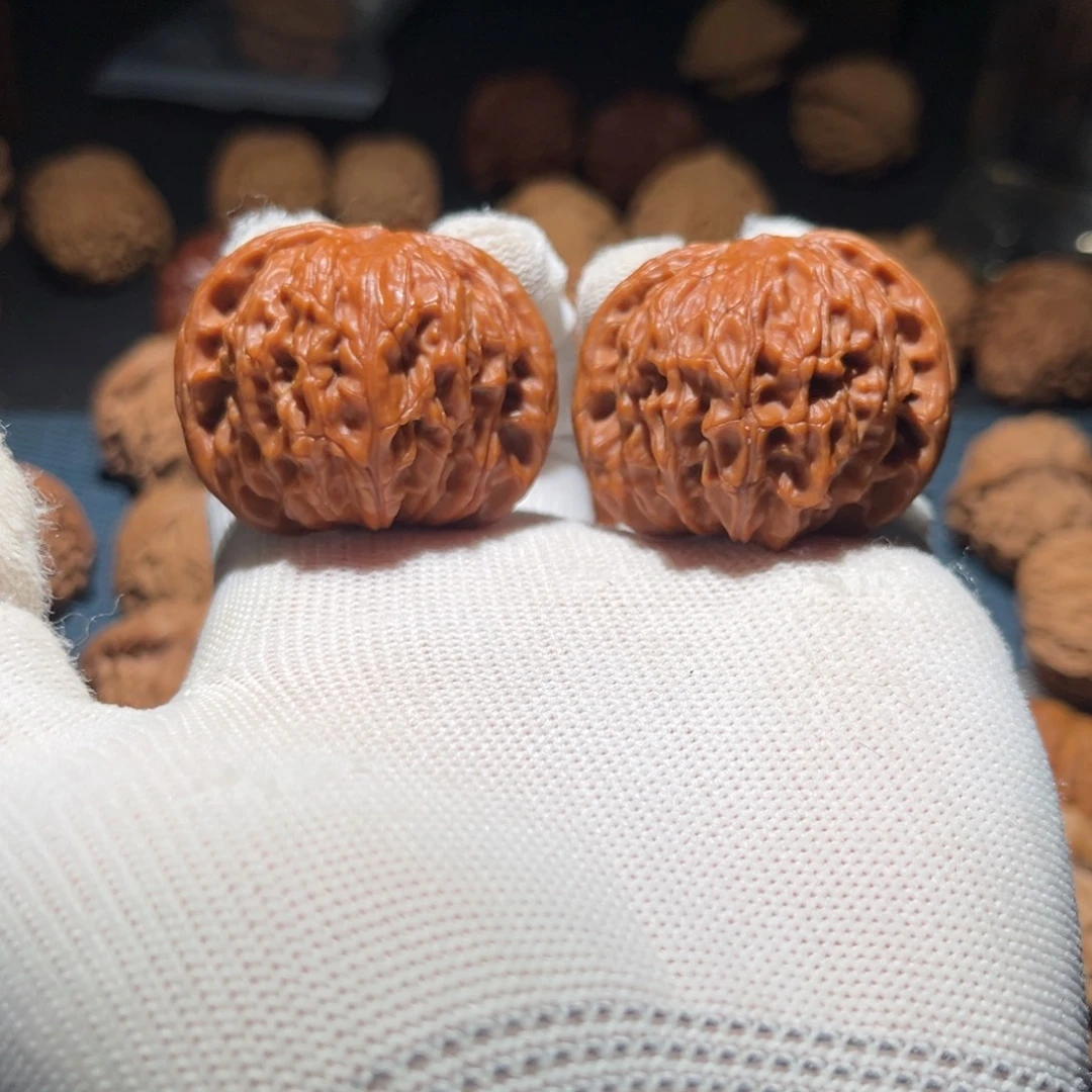 核桃41全品昌平一代磨