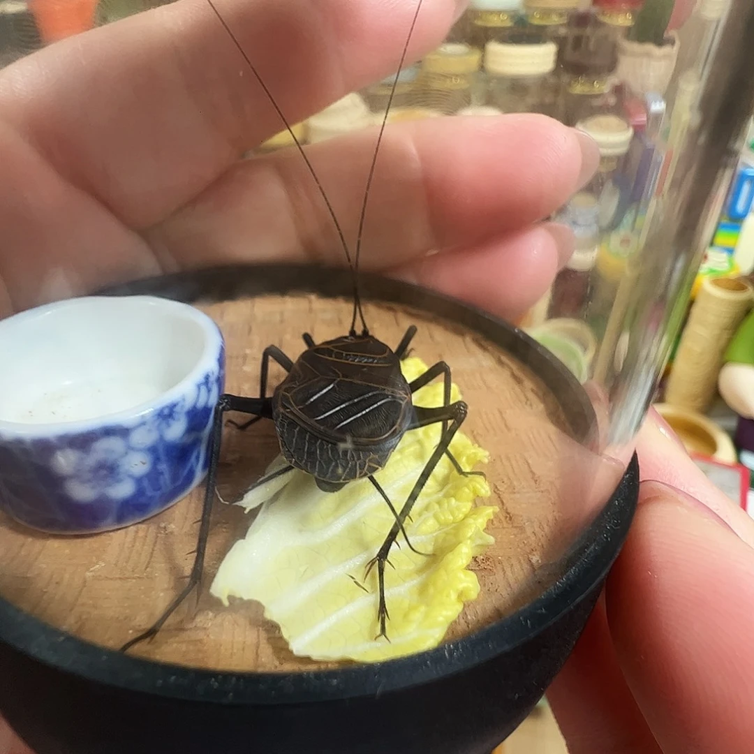 心***鹜哈哈哈蟋蟀麒麟两个