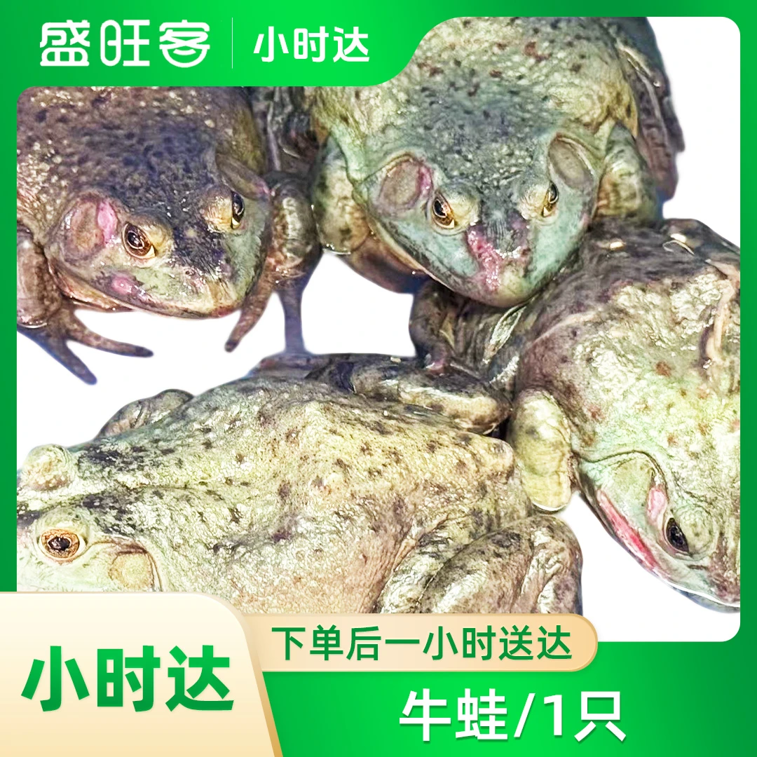 牛蛙/1只g