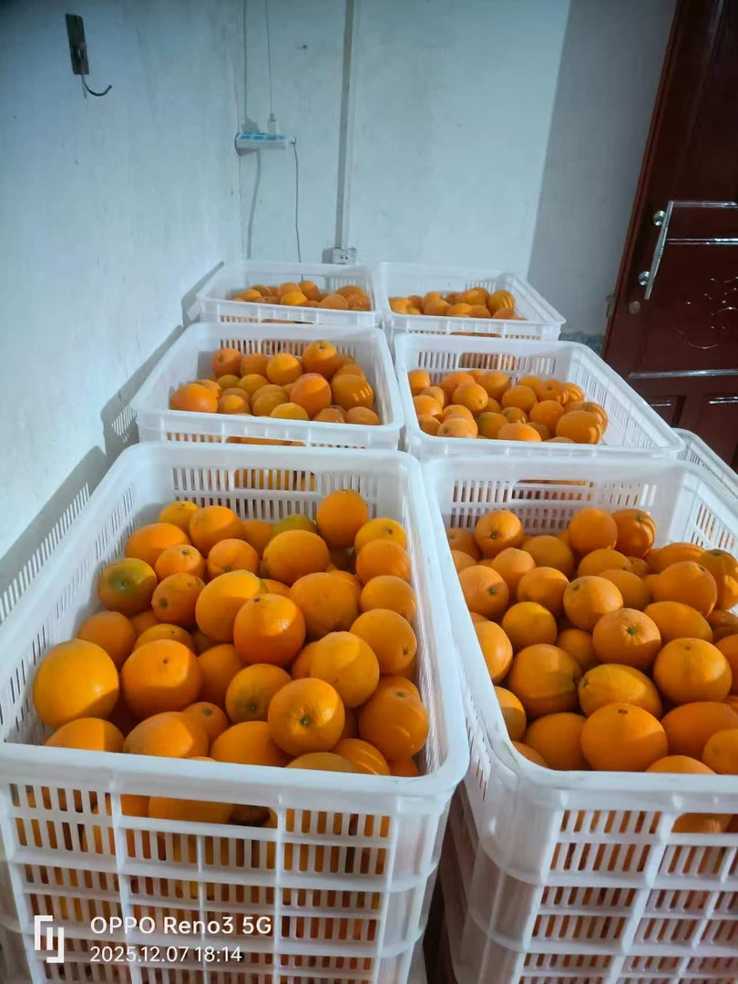 正宗江西赣南脐橙果园直发新鲜现摘多汁香甜水果