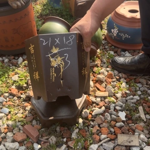 红陶紫砂花盆盆景盆栽瑕疵