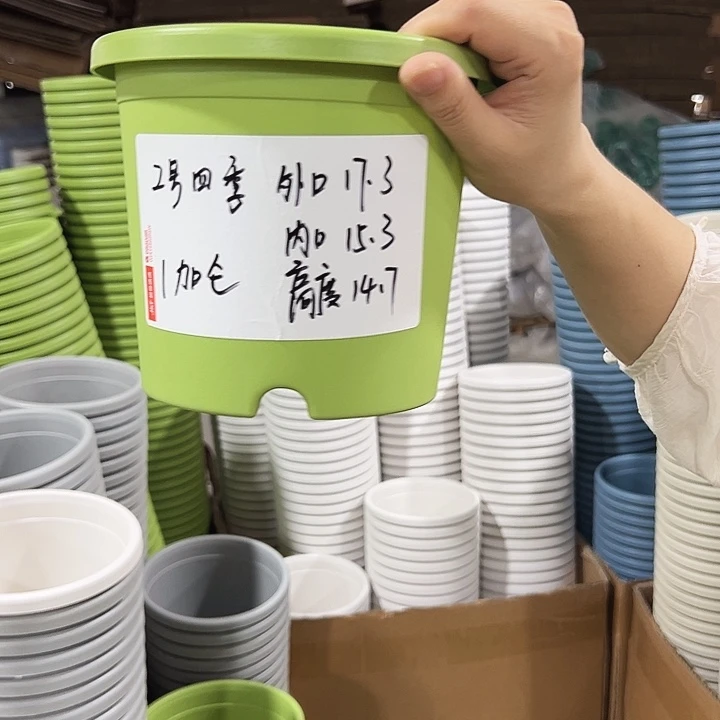 特价2号四季盆口17高14.5混色无托10只