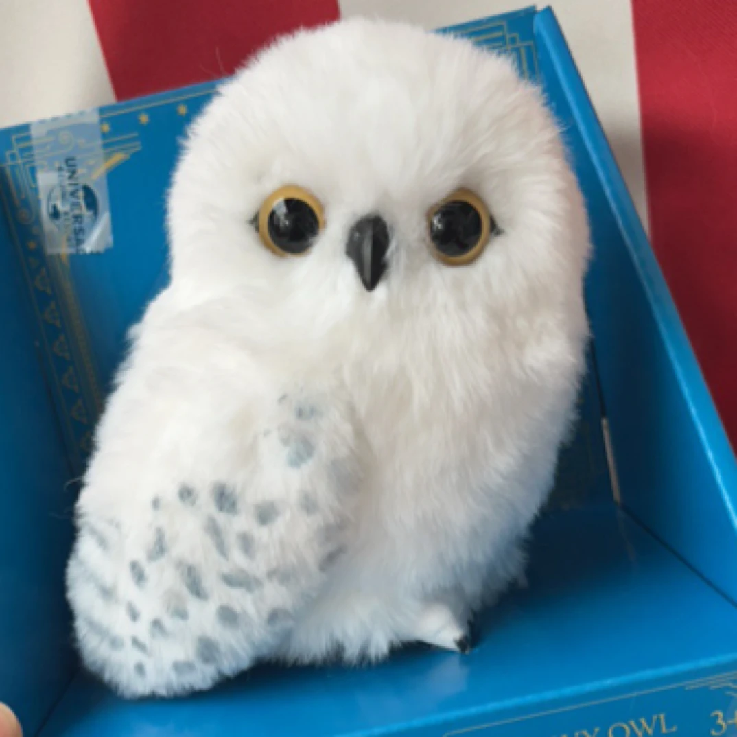 环球影城正品周边代购哈利波特海德薇站肩猫头鹰互动玩偶雪信使