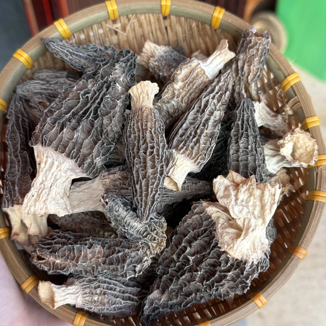 羊肚菌50g（6-9公分） 大别山老乡深山自采干货6-9公分