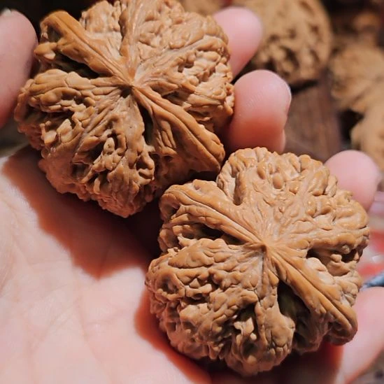 吴***岗文玩核桃吊坠47粗筋