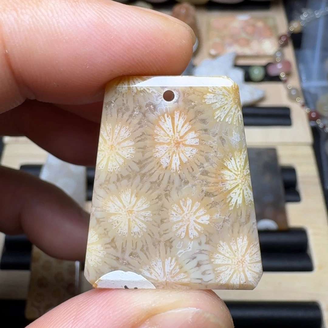 未镶嵌纯天然色有机玉石保真色硅化玉