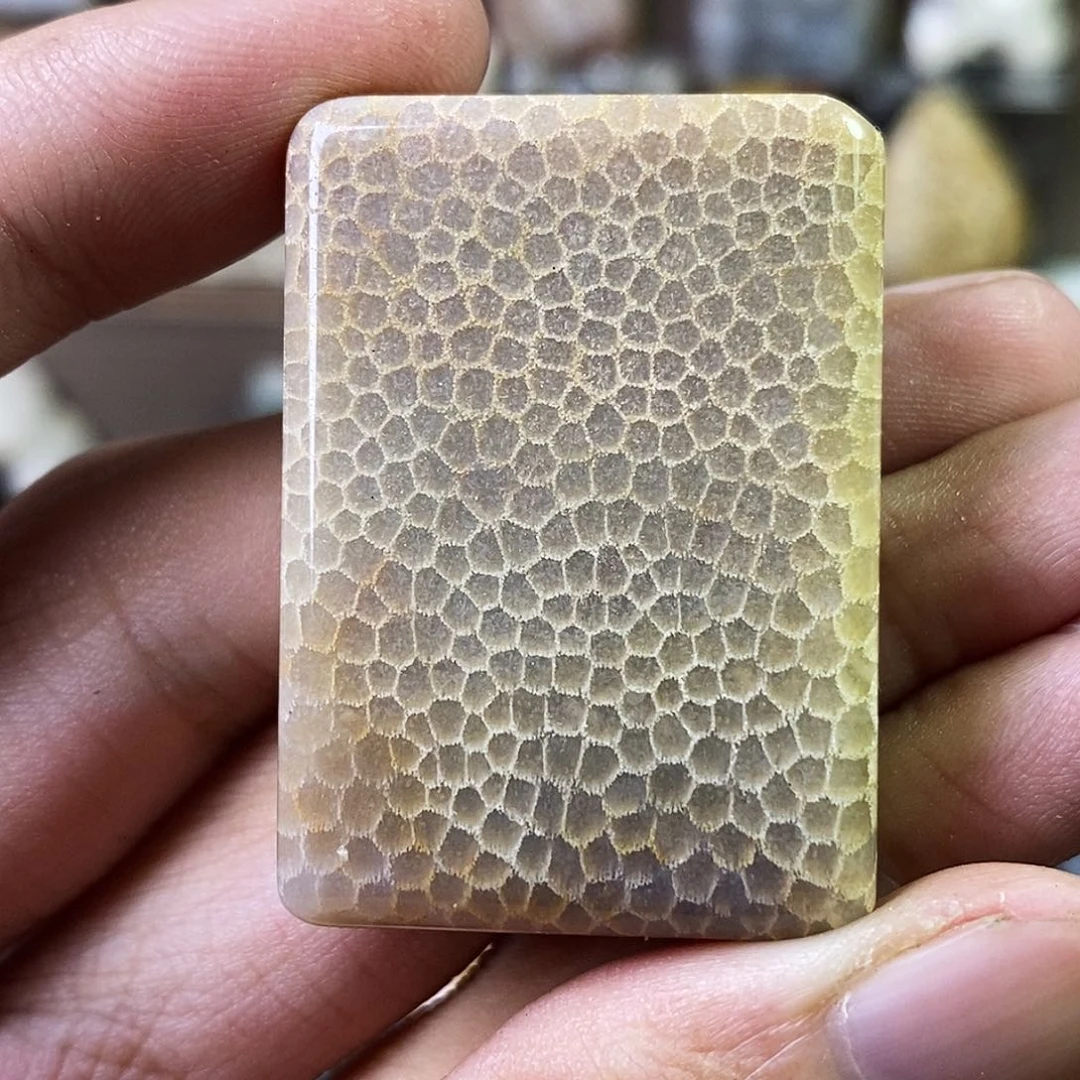 硅化珊瑚（珊瑚玉）吊坠未镶嵌k**x