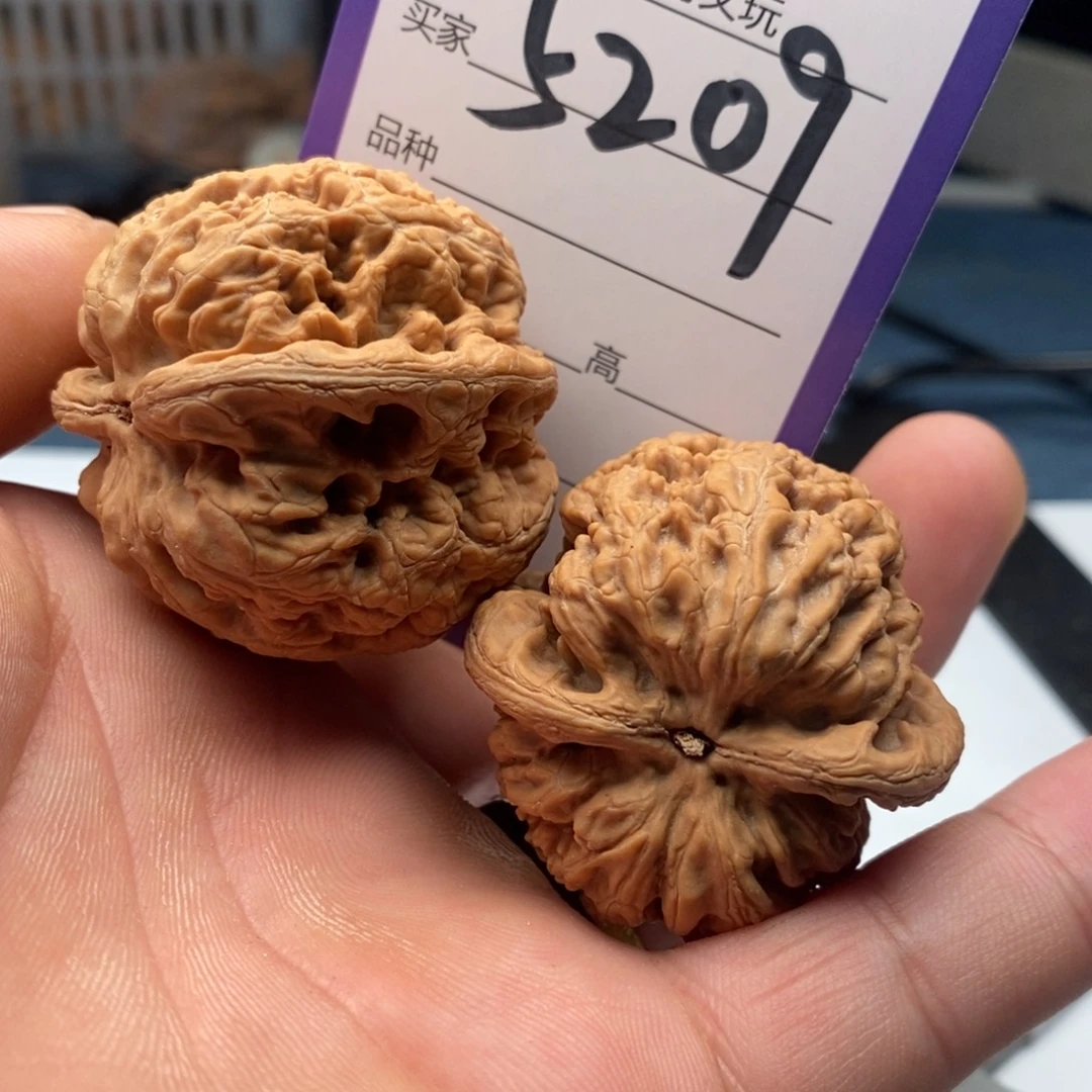 吊坠文玩核桃5209