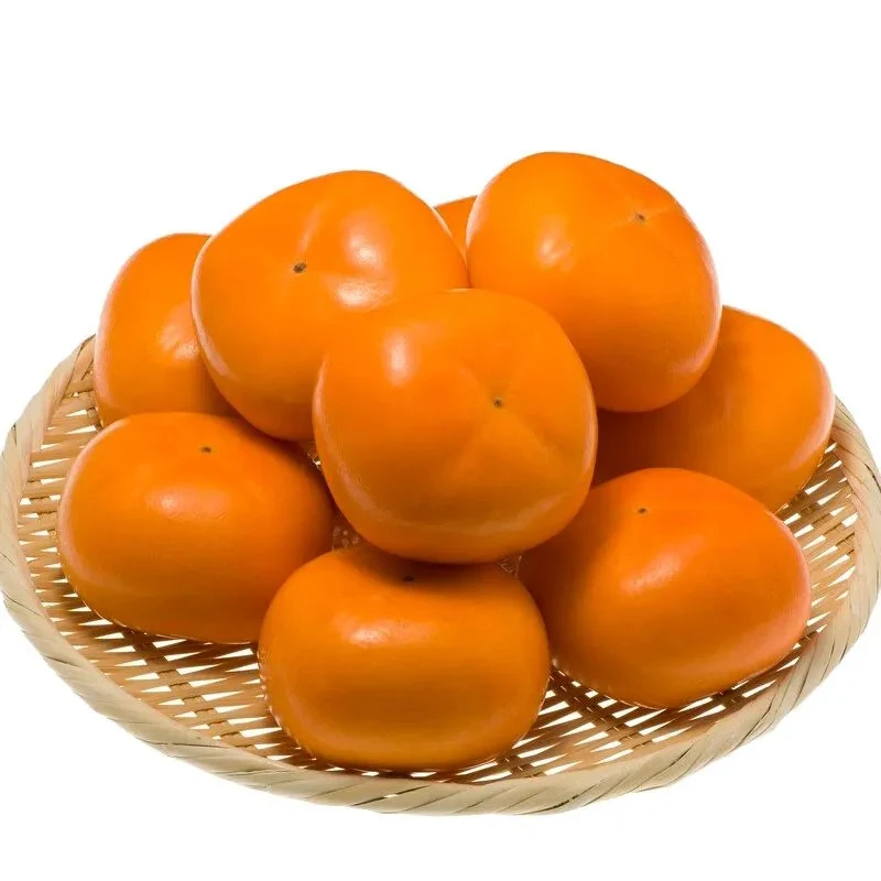 广西桂林高山脆柿脆甜新鲜巧克力脆柿甜柿子