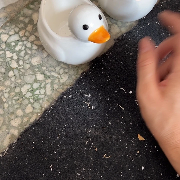 瓷片默认瑕疵商品鸭子2