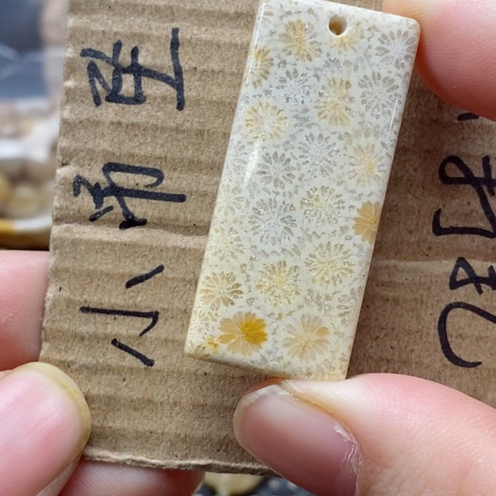 硅化珊瑚（珊瑚玉）颈饰未镶嵌