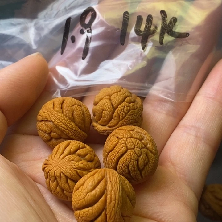 文玩核桃吊坠秦岭野生龙纹桃核19