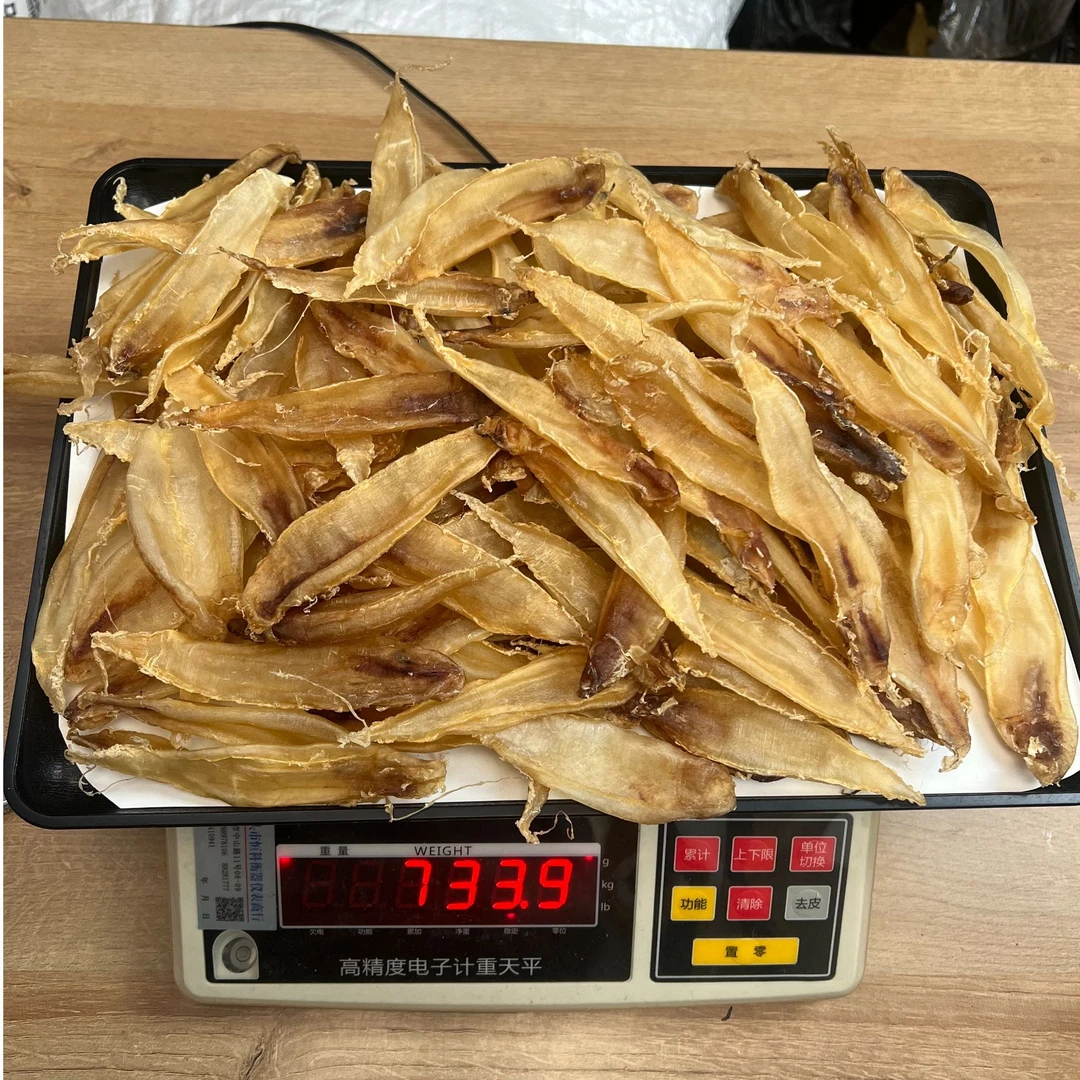 【谭古朴】浙江大口公肚 母肚 多规格不同年份 鱼胶鱼肚花胶 胶仔